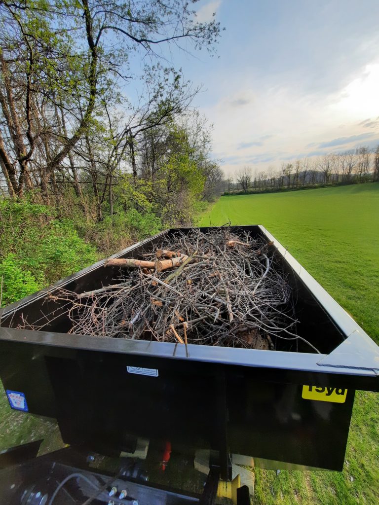 15 yard dumpster rental for tree cleanup